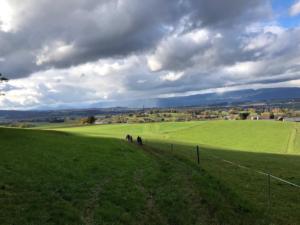 Descente vers