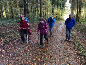 Montée dans la forêt