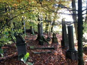 cimetière forestier.