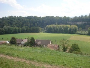 110828_St Ap Frib Marly (1)