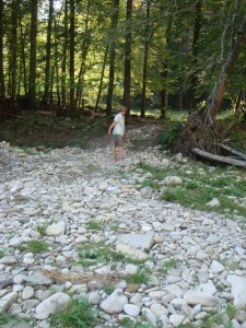 110928_Schwarzenburg Schwarzwasser (28)