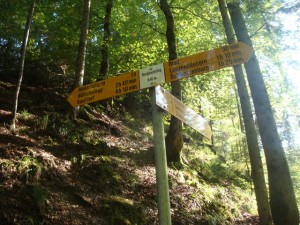 110928_Schwarzenburg Schwarzwasser (29)