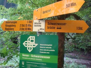 110928_Schwarzenburg Schwarzwasser (48)