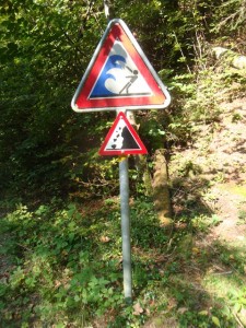 110928_Schwarzenburg Schwarzwasser (49)