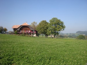 110928_Schwarzenburg Schwarzwasser (52)