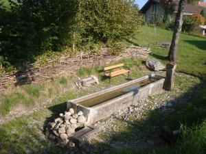 110928_Schwarzenburg Schwarzwasser (64)