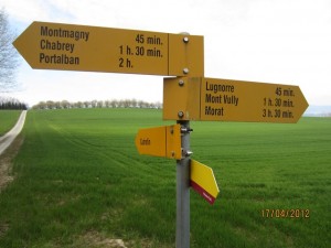 120417_Salavaux Constantine Chabrey Cudrefin Montet Vallamand Bellerive (23)