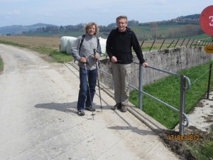 120417_Salavaux Constantine Chabrey Cudrefin Montet Vallamand Bellerive (36)
