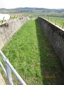120417_Salavaux Constantine Chabrey Cudrefin Montet Vallamand Bellerive (9)