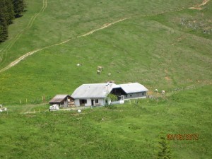 Chalet point 1487