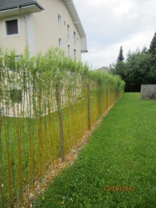 120612_Chatel st Denis Attalens (13)