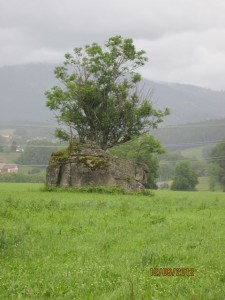 120612_Chatel st Denis Attalens (17)
