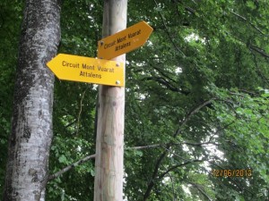 120612_Chatel st Denis Attalens (3)
