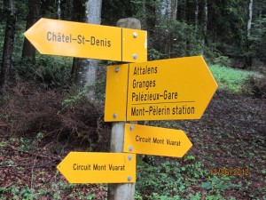 120612_Chatel st Denis Attalens (5)