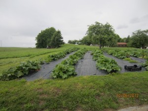 120612_Chatel st Denis Attalens (9)