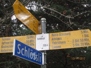121113_Schwarzenbourg Rne Grasburg Sodbach (9)