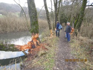 121219_Kerzers Golaten Ferenbalm (13)