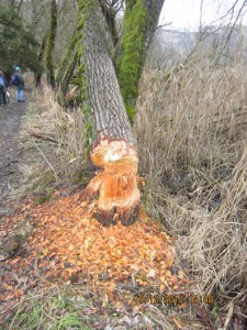 121219_Kerzers Golaten Ferenbalm (14)