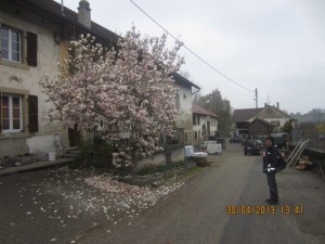 130430_Murist Nuvilly Champtauroz (11)