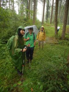 Dans la forêt vers la Grosse Moille.