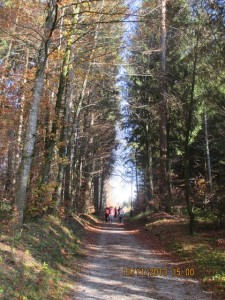131112_Neunegg Niederwangen (10)