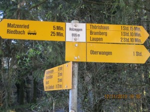 131112_Neunegg Niederwangen (26)