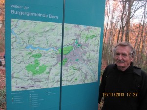 131112_Neunegg Niederwangen (37)