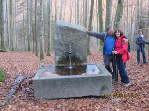 131112_Neunegg Niederwangen (44)