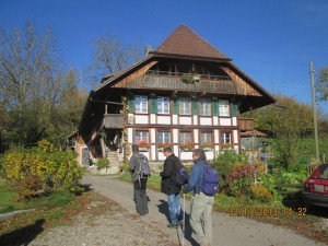 131112_Neunegg Niederwangen (6)