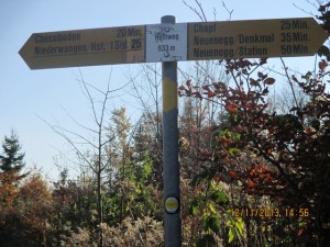 131112_Neunegg Niederwangen (9)