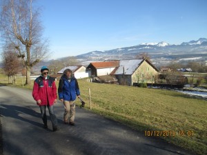 131210_Granges Puidoux lac de Bret  (1)
