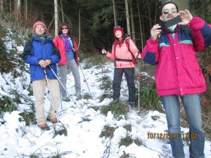 131210_Granges Puidoux lac de Bret  (23)