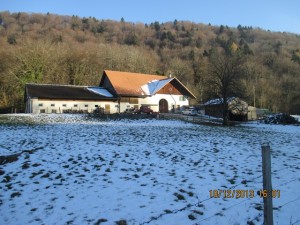 131210_Granges Puidoux lac de Bret  (5)