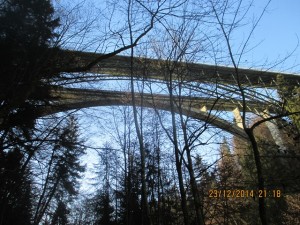 141223_Thörishaus Schwarzwasserbrücke  (33)