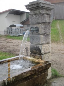 150331_Villeneuve Surpierre Praratoud Cheiry (16)