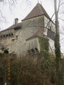 150331_Villeneuve Surpierre Praratoud Cheiry (26)