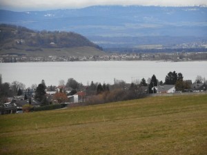 le lac de Morat 