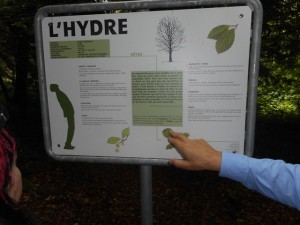 Le 3ème: L'Hydre 