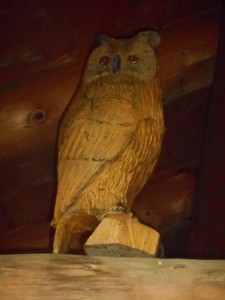 Refuge dans la forêt avec son hibou!