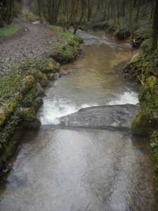Traversée du Gäbelbach