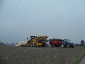 Travaux d'automne