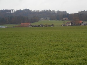 Gris-vert brume..