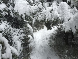 Une bonne couche de neige