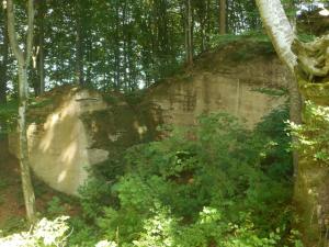 Molasse sur le mauvais chemin!