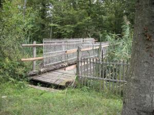 Le pont de l'étang