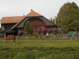 ..une belle ferme, suivie..