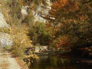 ..les couleurs d'automne et..