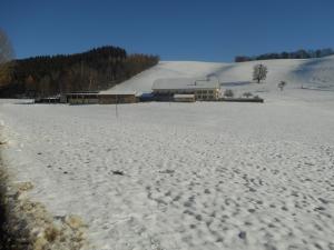 Début forêt de Morlon