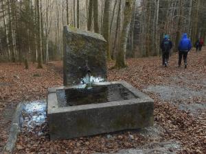 ..Schönebrunne (env. 628)