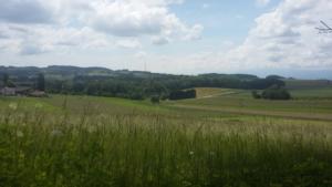 Dans la campagne, 